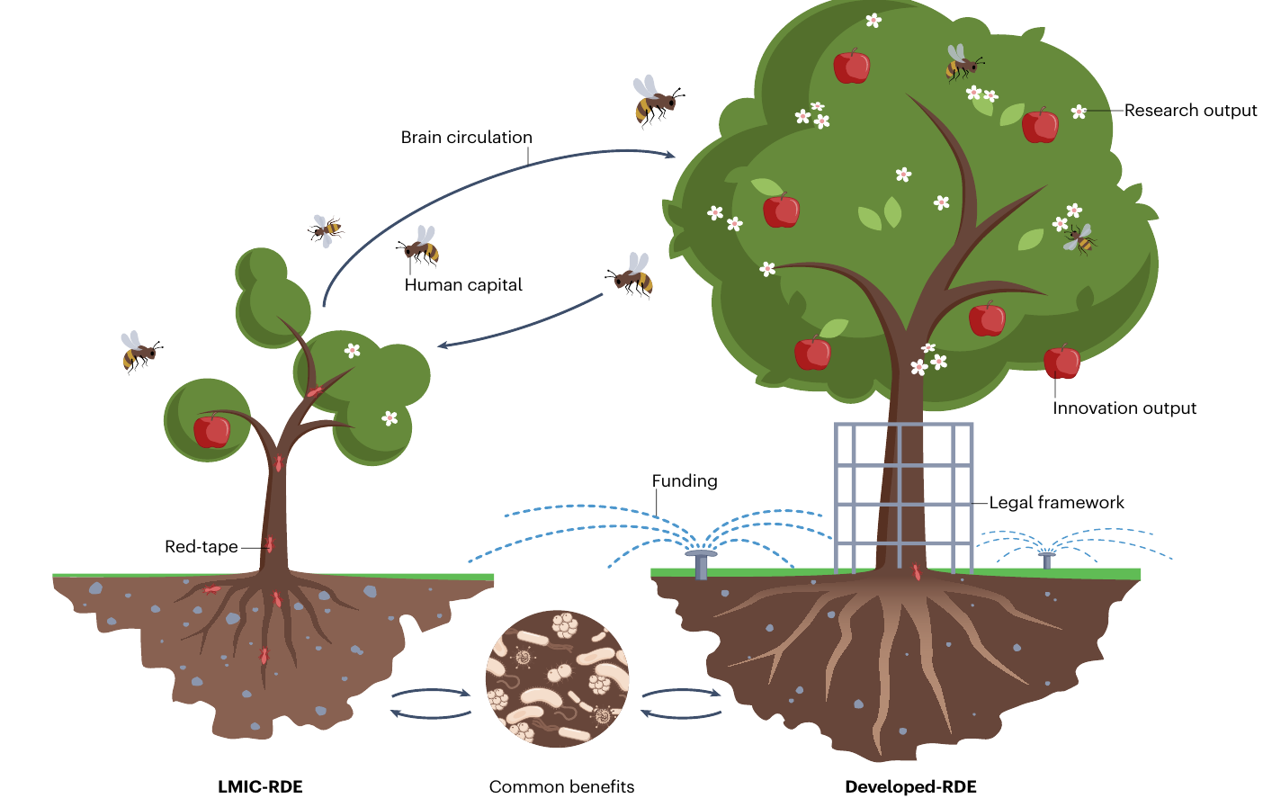 Research institutes from nest eggs: challenges and the way forward