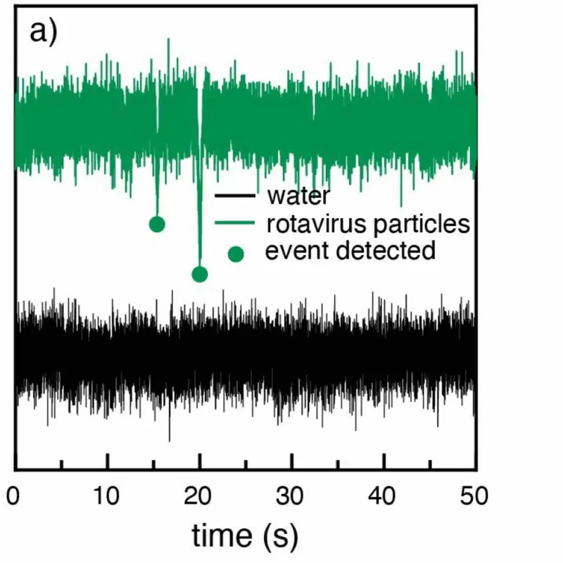 Dynamic light scattering measurement for detecting rotavirus particles in water